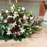 vivero-vivero-servicios